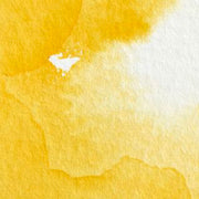 WINSOR & NEWTON Professional Watercolour - 14mL - Cadmium Yellow