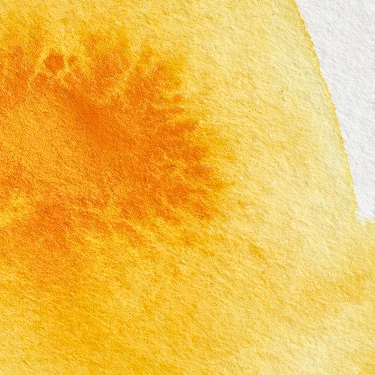 WINSOR & NEWTON Professional Watercolour - 14mL - Cadmium Yellow Deep