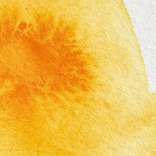 WINSOR & NEWTON Professional Watercolour - 14mL - Cadmium Yellow Deep