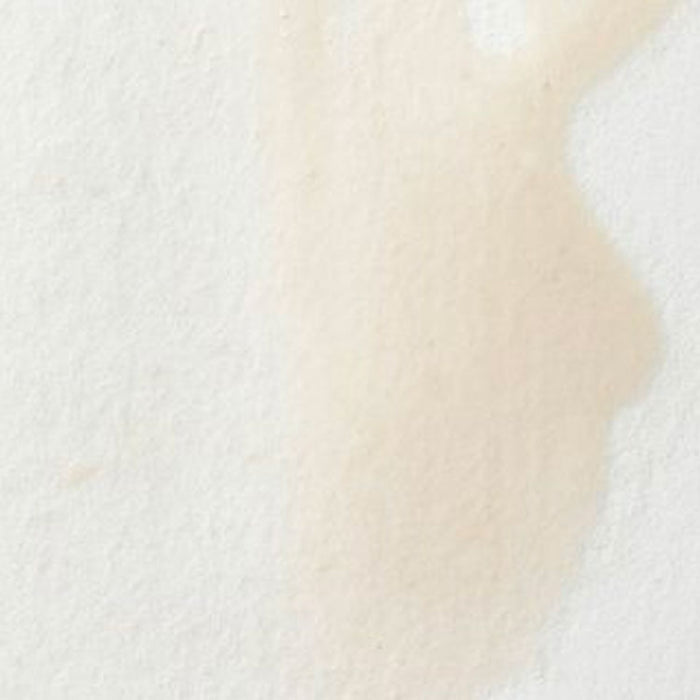 WINSOR & NEWTON Professional Watercolour - 14mL - Chinese White