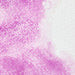 WINSOR & NEWTON Professional Watercolour - 14mL - Cobalt Violet