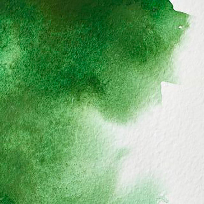 WINSOR & NEWTON Professional Watercolour - 14mL - Hookers Green