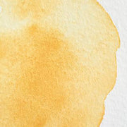 WINSOR & NEWTON Professional Watercolour - 14mL - Naples Yellow