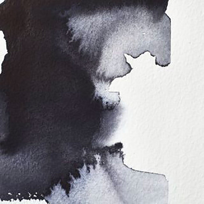 WINSOR & NEWTON Professional Watercolour - 14mL - Neutral Tint