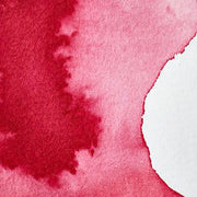 WINSOR & NEWTON Professional Watercolour - 14mL - Permanent Carmine