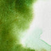 WINSOR & NEWTON Professional Watercolour - 14mL - Permanent Sap Green