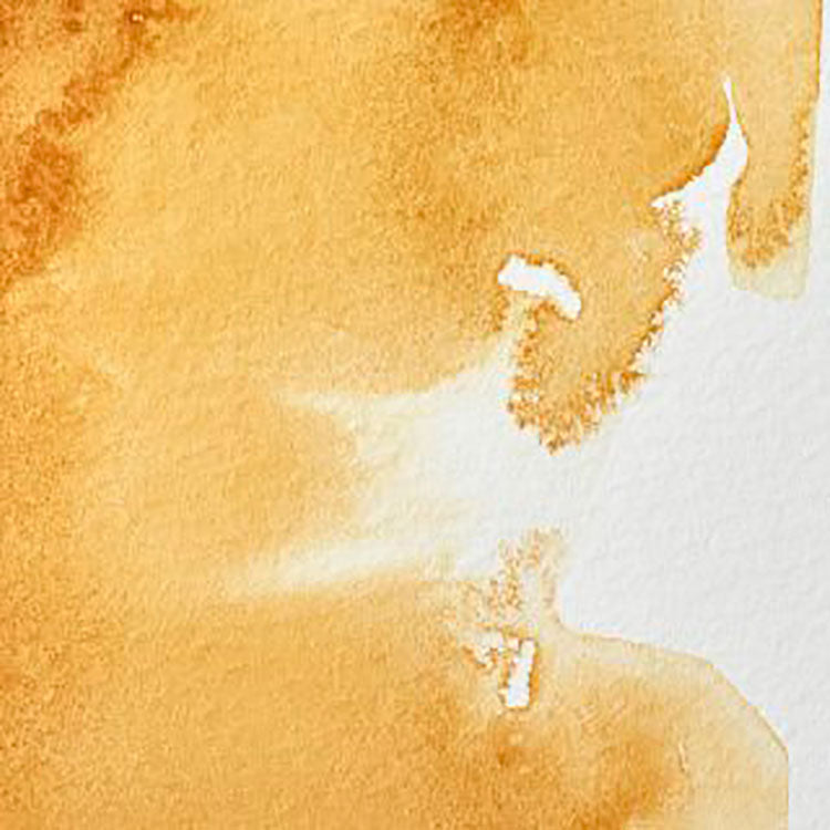 WINSOR & NEWTON Professional Water Colour - 14mL - 552 Raw Sienna (PR101)