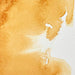 WINSOR & NEWTON Professional Water Colour - 14mL - 552 Raw Sienna (PR101)