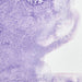 WINSOR & NEWTON Professional Watercolour - 14mL - Ultramarine Violet