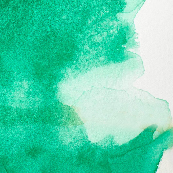 WINSOR & NEWTON Professional Watercolour - 14mL - Winsor Green (Yellow Shade)