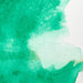 WINSOR & NEWTON Professional Watercolour - 14mL - Winsor Green (Yellow Shade)
