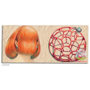 POKETO Wallet - Winnie Truong