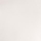 WINSOR & NEWTON Professional Watercolour - 14mL - Chinese White