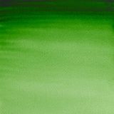 WINSOR & NEWTON Professional Watercolour - 14mL - Hookers Green