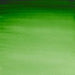 WINSOR & NEWTON Professional Watercolour - 14mL - Hookers Green