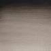 WINSOR & NEWTON Professional Watercolour - 14mL - Ivory Black