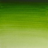 WINSOR & NEWTON Professional Watercolour - 14mL - Permanent Sap Green