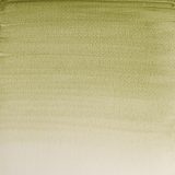 WINSOR & NEWTON Professional Watercolour - 14mL - Terre Verte (Yellow Shade)