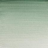 WINSOR & NEWTON Professional Watercolour - 14mL - Terre Verte 
