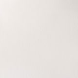 WINSOR & NEWTON Professional Watercolour - 14mL - Titanium White
