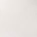 WINSOR & NEWTON Professional Watercolour - 14mL - Titanium White