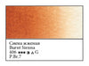 WHITE NIGHTS Artists' Watercolours - Full Pan - Burnt Sienna (PBr7)