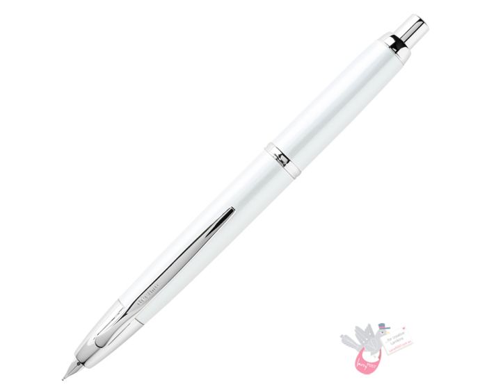 Pilot decimo discount
