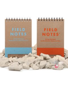 FIELD NOTES Heavy Duty - Set of 2 - Pocket (A6 9x13cm) - Ruled and Grid Pages 