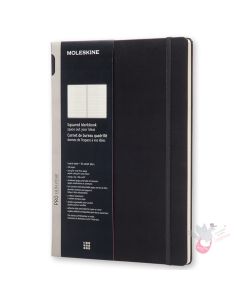 MOLESKINE Professional Collection Notebook