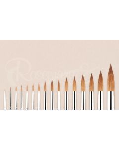 Beautiful pointing Kolinsky Sable artist brushes by Rosemary & Co