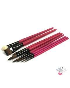 ROSEMARY & CO - Set 20 - Beginner Watercolour Brushes