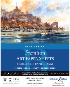 STILLMAN & BIRN Premium Art Sheets - Beta (270gsm) - 8 x 10" - 12 Sheets