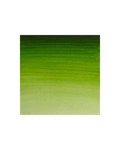 WINSOR & NEWTON Professional Watercolour - 14mL - Permanent Sap Green